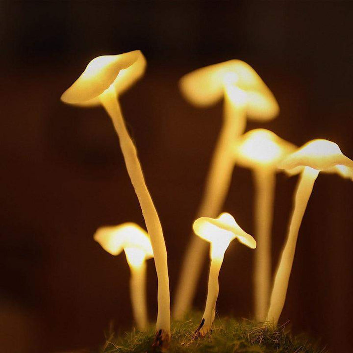 Kreativ DIY Sopplampe for Hjemmet ditt