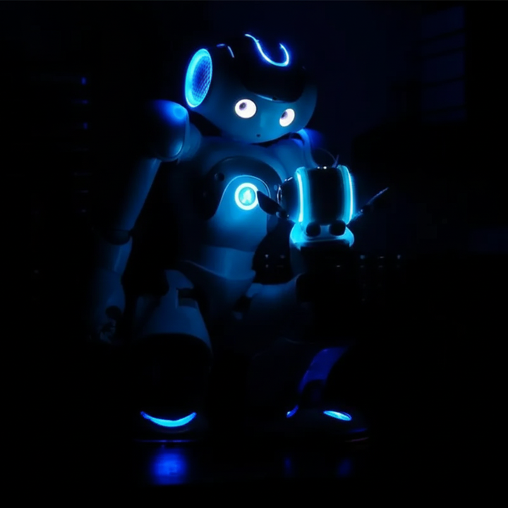 Interaktiv Læringsrobot for Barn