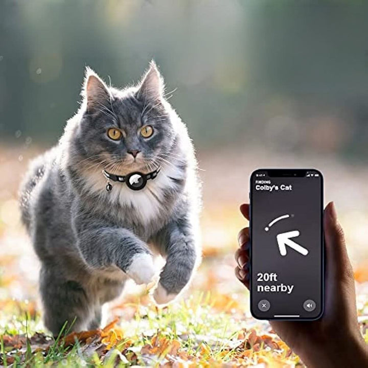 Katt Halsbånd med GPS Sporing og Refleks, Justerbart