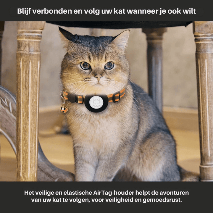 Katt Halsbånd med GPS Sporing og Refleks, Justerbart