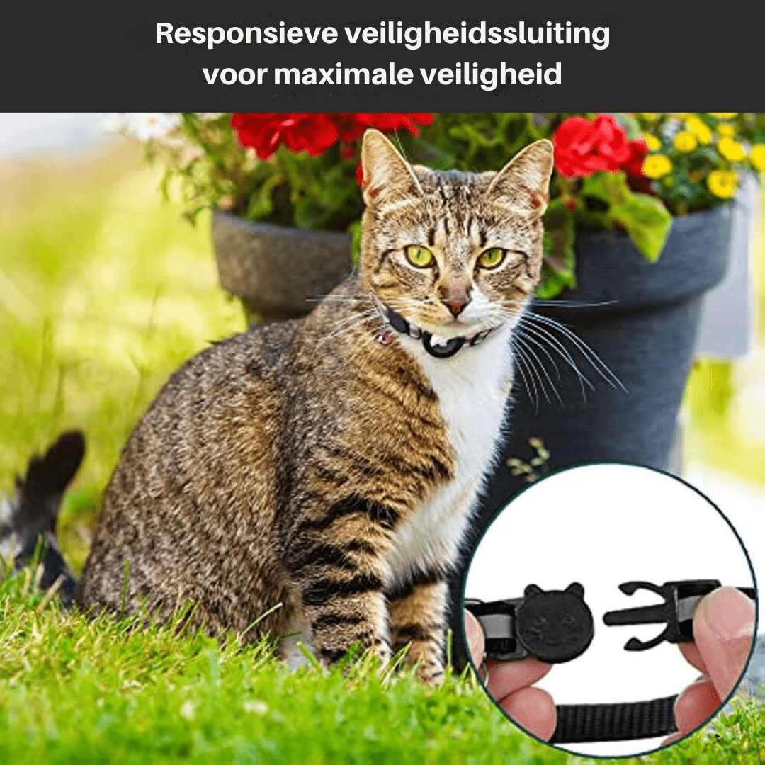 Katt Halsbånd med GPS Sporing og Refleks, Justerbart