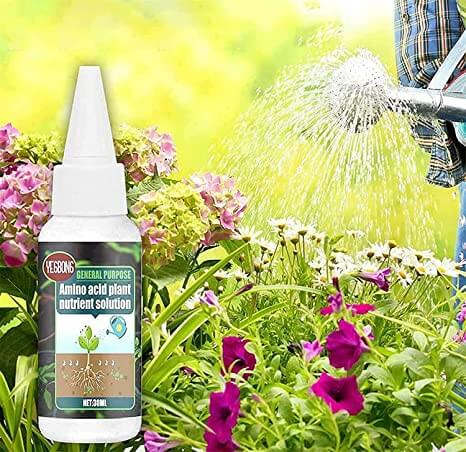 Plantenæring for Sunn Vekst og Frodig Blomstring