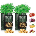 Dyrk Poteter Hjemme: Smart Potetdyrkingspose for Terrasse & Balkong