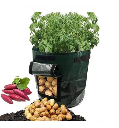 Dyrk Poteter Hjemme: Smart Potetdyrkingspose for Terrasse &amp; Balkong