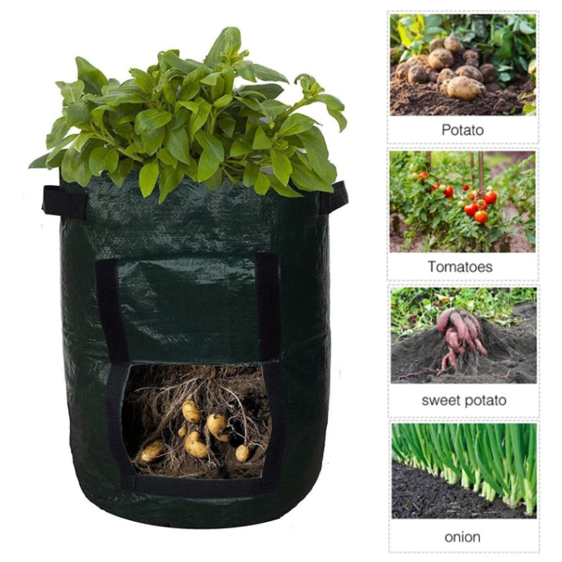 Dyrk Poteter Hjemme: Smart Potetdyrkingspose for Terrasse &amp; Balkong